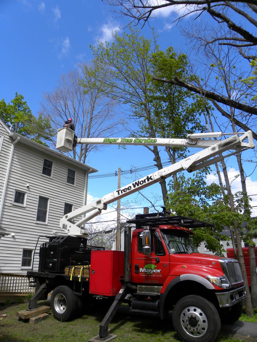 ABC_ArborDay_3_TruckBackLift.JPG